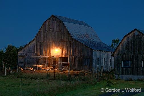 Barnyard In First Light_20994-9.jpg - Photographed near Smiths Falls, Ontario, Canada.